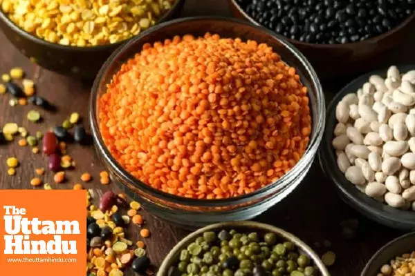 Which pulse to eat for which disease? know the correct method of consumption Which pulse to eat for which disease? know the correct method of consumption