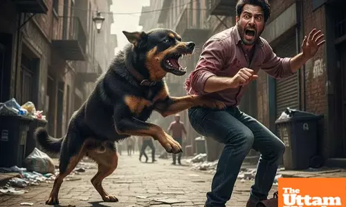 Indian firm slams Aussie fake vaccine claim: Abhayreb cleared of counterfeit charges