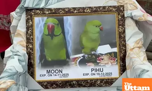 Punjab familys unconventional ritual: Parrots funeral feast for 300