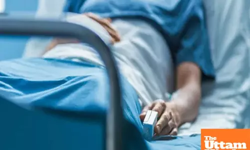 Deadly fungus outbreak: hospitals on high alert as cases surge globally