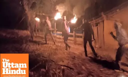 Wild elephants turn deadly, kill seven people in one night; 17 lives lost so far