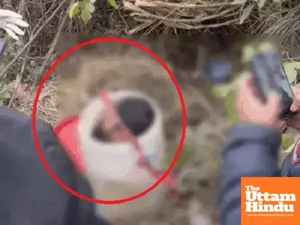 Ludhiana in shock: mutilated body found in drum sparks fear Ludhiana in shock: mutilated body found in drum sparks fear