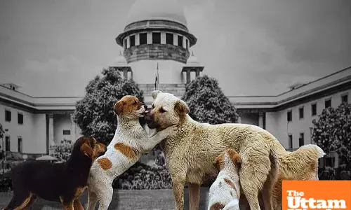 Supreme Court: Dont cuff stray dogs, just follow ABC rules; dogs can sense fear, attack if scared