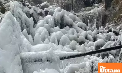 Drass freezes at -24.6°C, Kashmirs Dal lake turns to ice as cold wave grips J&K and Ladakh