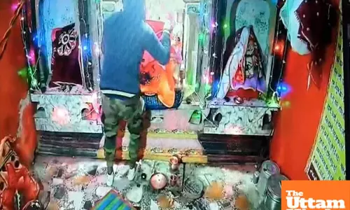 Thiefs shocking u-turn: Steals mothers jewelry, then apologizes on bended knee