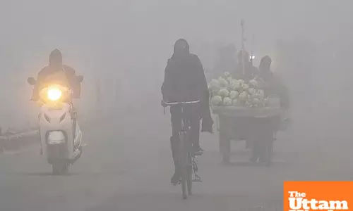 Punjab shivers: Temperatures plummet to near zero, health department issues advisory amidst severe cold wave