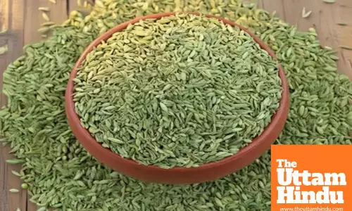 Troubled by premature grey hair? this simple ingredient can give a natural hair colour