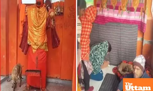 Viral video: Is this Bhairava or just a hungry dog? Doctor sets the record straight