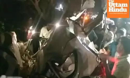 Tragic highway accident: Five dead, woman injured as car hits tree