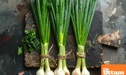 Winter wellness: Green onions pack a punch for immunity