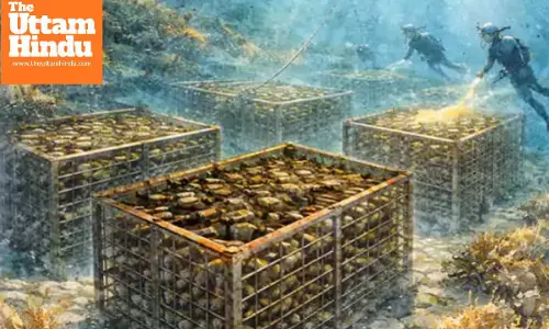 Not in basements anymore, company now stores liquor bottles in the depths of the sea; here’s why