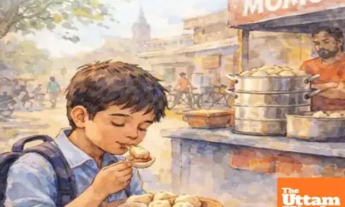 Momo craving turns costly: 7th-grade student steals ₹85 lakh jewellery from home Momo craving turns costly: 7th-grade student steals ₹85 lakh jewellery from home