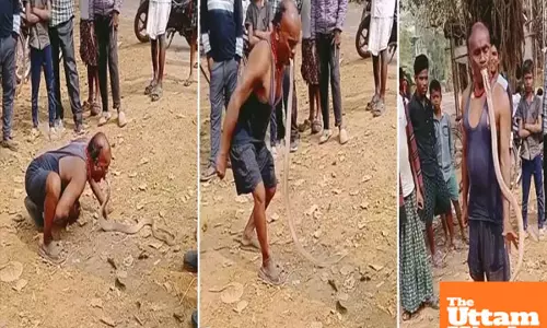 Man risks life in bizarre stunt, grabs king cobra by hood with bare mouth, watch viral video