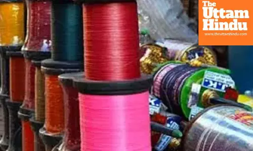 Warning for kite flyers! Government bans Chinese kite string in this state, death cases to be treated as murder