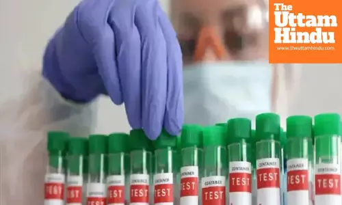 Bird flu hits this region of the country, panic after hundreds of crows die; alert issued after H5N1 virus confirmed