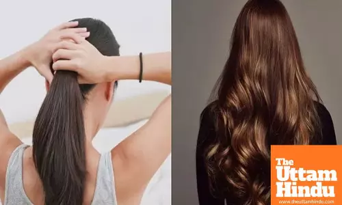 Model gets bad haircut, compensation reduced to ₹25 lakh; case reaches Supreme Court