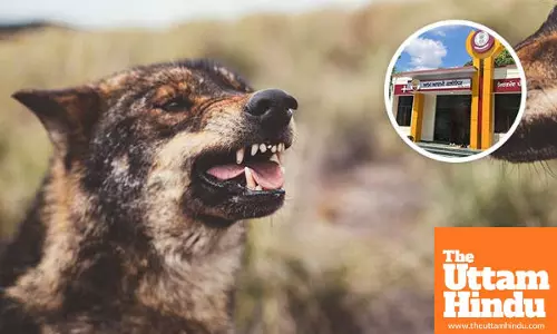 Punjabs Aam Aadmi Clinics: Free anti-rabies treatment for dog bites