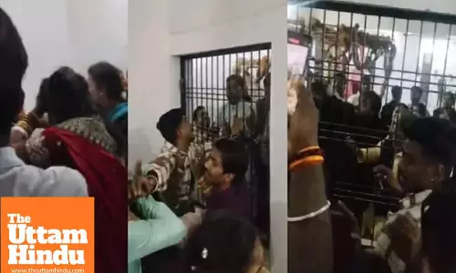 Pet dog sparks chaos at wedding, families clash; chairs thrown and alliance called off