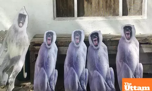 Glasses-snatching apes prompt creative countermeasures for Presidents Vrindavan visit