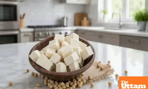 Paneer precautions: Who should avoid it and how to eat it right
