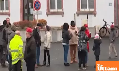 Cows to the Rescue: French village enrolls bovine students to save school