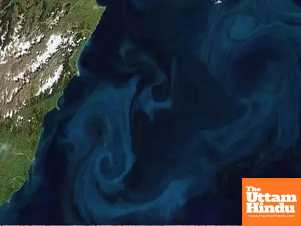 Oceans vibrant secret: How phytoplanktons bloom impacts climate Oceans vibrant secret: How phytoplanktons bloom impacts climate