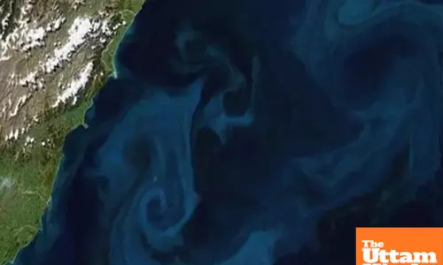 Oceans vibrant secret: How phytoplanktons bloom impacts climate