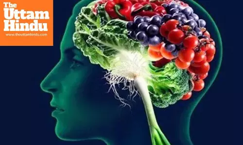 Essential nutrients for mental health, strengthen your brain and stay happy